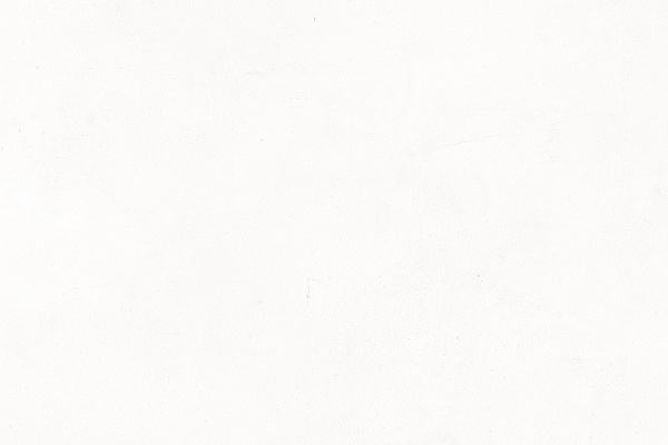 collection-1.png