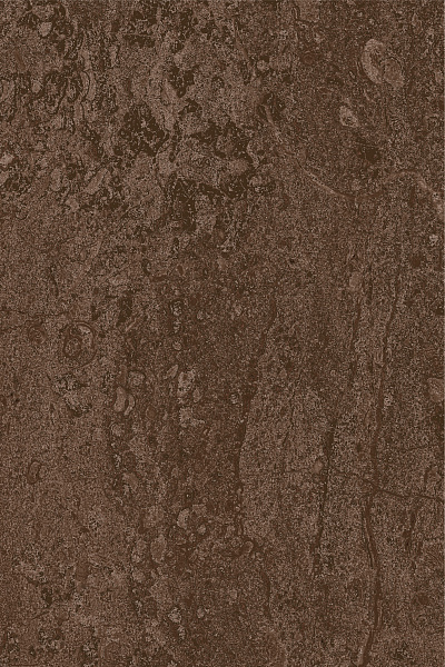 collection-1.png