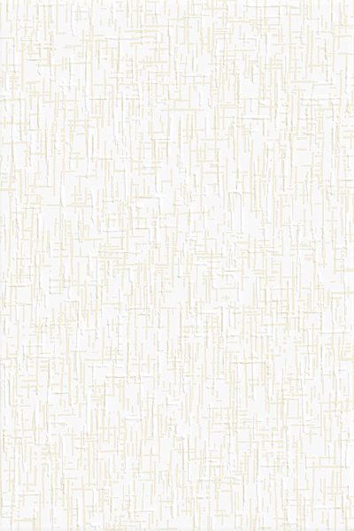 collection-1.png