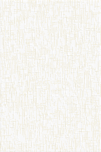 collection-1.png