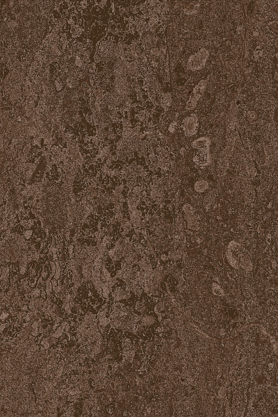 collection-1.png