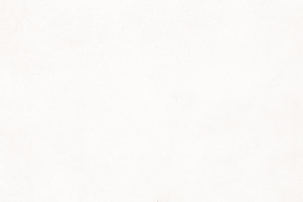 collection-1.png