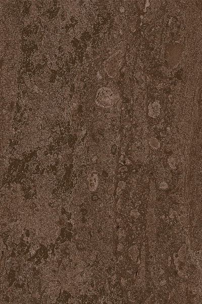collection-1.png