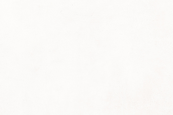 collection-1.png