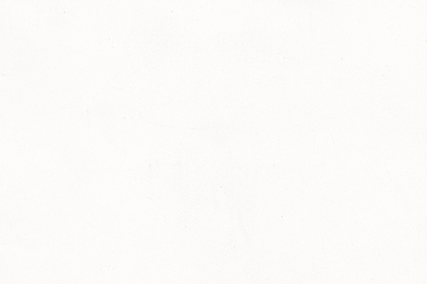 collection-1.png